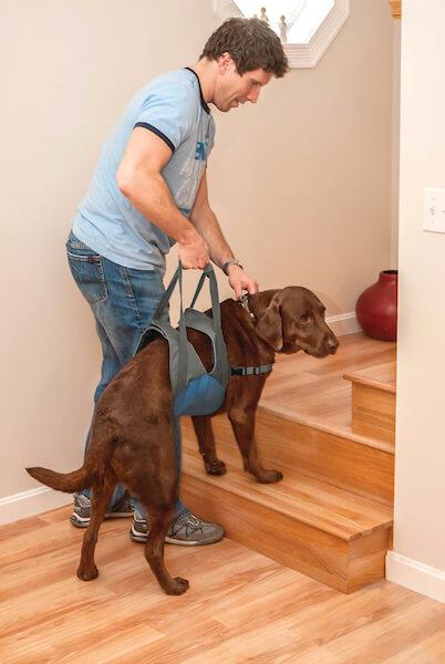 Kurgo Up & About Dog Lifter Blue/Charcoal Kurgo Up & About Dog Lifter Blue/Charcoal